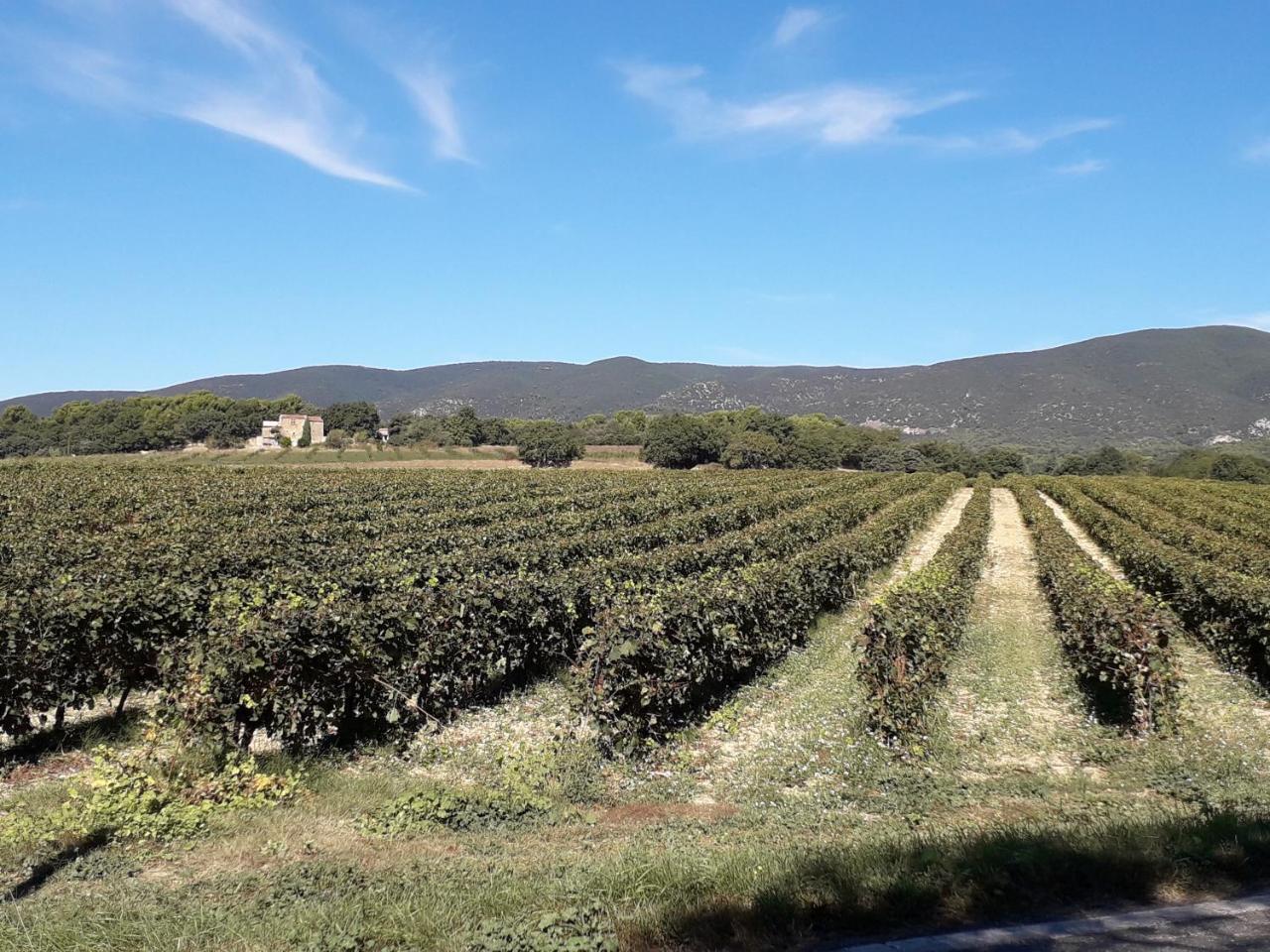 Le Mas Du Colombier Cadenet Εξωτερικό φωτογραφία